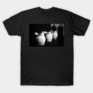 Dunham Massey - Three jugs T-Shirt